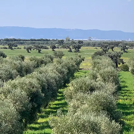 Country house Il Casale Nel Parco *